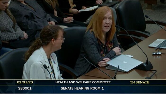 heather-gee-thomas-glendale-united-methodist-church-nashville-tn-tennessee-legislature-anti-transgender-healthcare